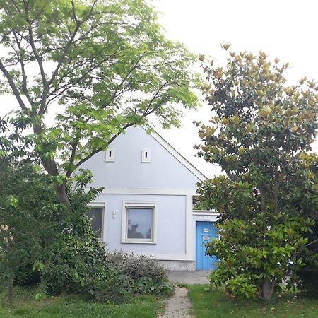 Alla Kittsee Exteriér fotografie
